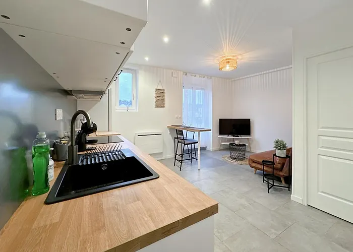 Le Cosy Lagny - Appartement Cosy Avec Balcon Vue Sur Marne